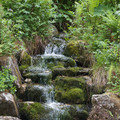 DSC_0271.jpg
